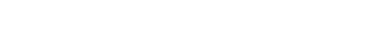 Copenhagen School of Entrepreneurship